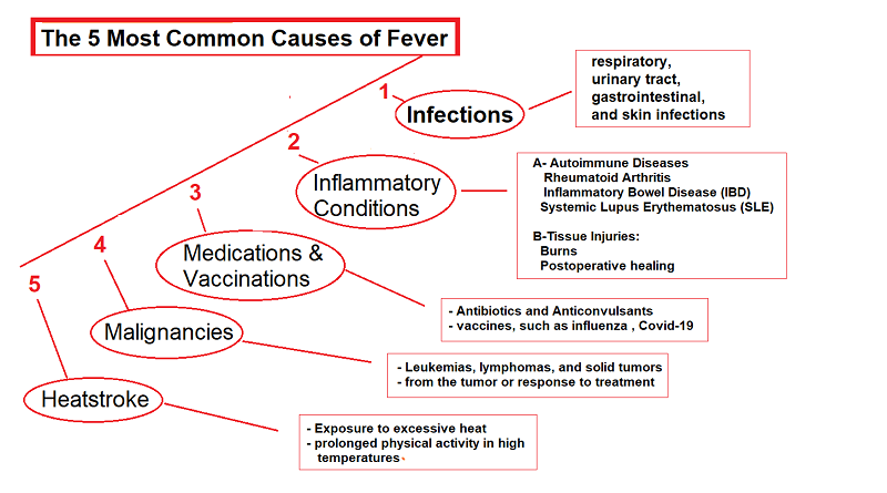 Five Most Common Causes of Fever