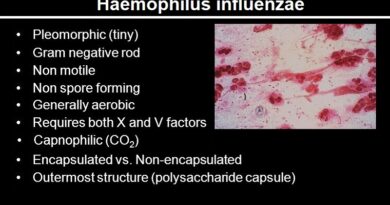 Haemophilus influenzae: The Basics