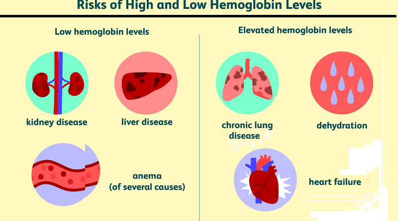 Hemoglobin: The Lifeline of Oxygen and the Sequences of its Deficiency