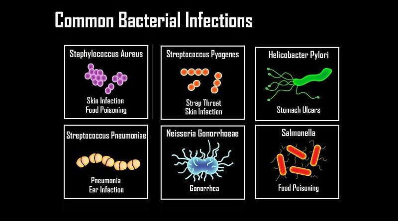 Common Infectious Bacterial Diseases: causative bacteria for each