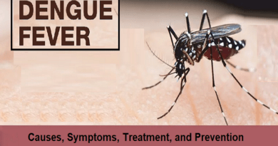 Dengue Fever