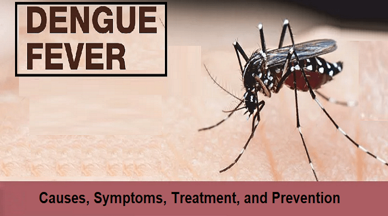 Dengue Fever