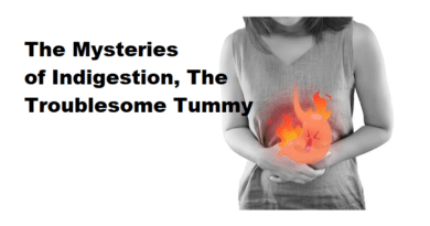 The Mysteries of Indigestion: The Troublesome Tummy