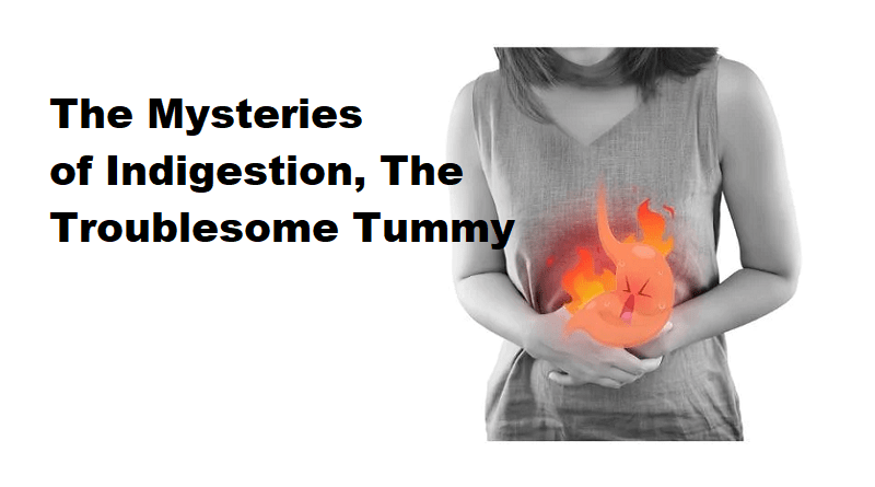 The Mysteries of Indigestion: The Troublesome Tummy