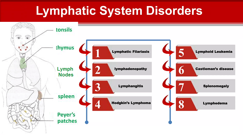 The Lymphatic System Disorders