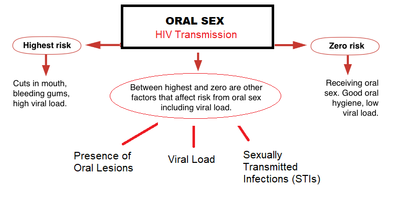 Can Oral Sex transmit HIV?