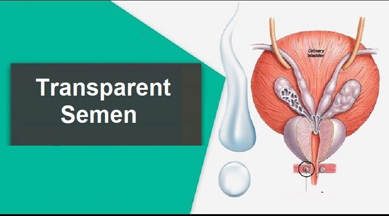 Transparent Semen