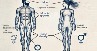 testosterone functions