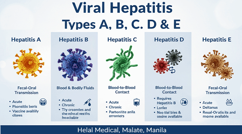 Viral Hepatitis Types A, B, C, D & E