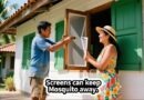 Dengue Fever During the Rainy Season-Protecting Your Family in the Philippines