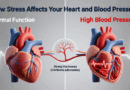 How Stress Affects Your Heart and Blood Pressure