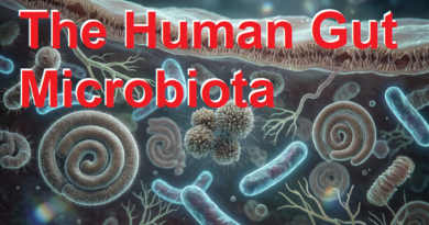 The Human Gut Microbiota: Why Normal Flora Is Essential for Health