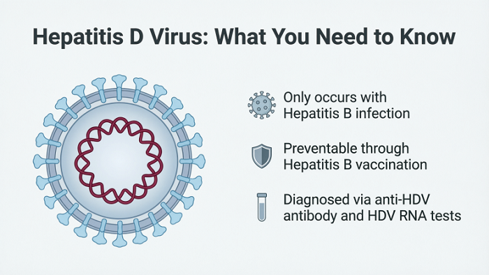 Hepatitis D Virus: What You Need to Know