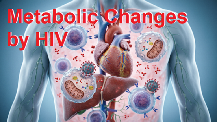 Metabolic Changes Caused by HIV Infection
